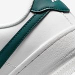 کفش ورزشی Nike