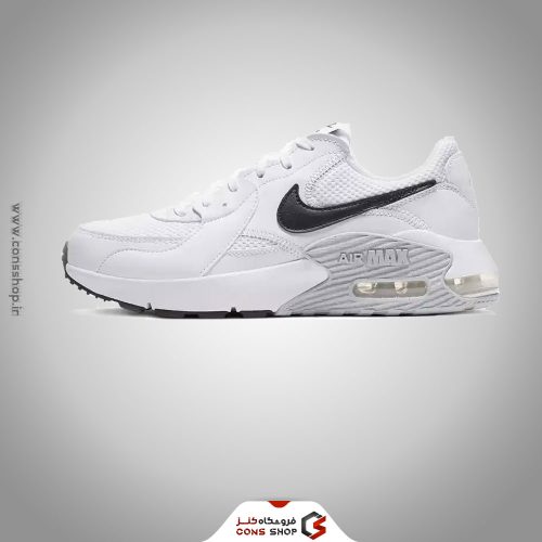 کفش ورزشی Nike