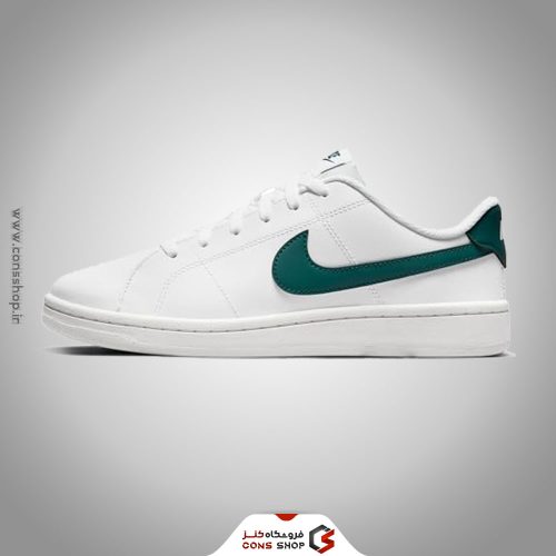 کفش ورزشی Nike
